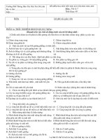 Đề kiểm tra một tiết học kì I môn: Vật lí 7