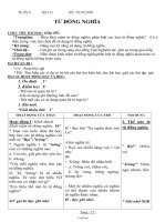 Bài giảng môn học Ngữ văn lớp 7 - Tuần 9: Từ đồng nghĩa