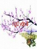 Mẫu Cổng trại tuyệt đẹp