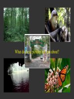 Trái Đất nóng lên