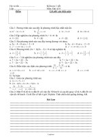 Kiểm tra 1 tiết môn: Đại số khối 8 (chuẩn)