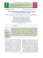 Partitioning of dry matter in different rice varieties in response to water logged and submerged condition - Trường Đại học Công nghiệp Thực phẩm Tp. Hồ Chí Minh