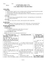 Giáo án lớp Sinh học khối 8 - Cơ sở khoa học của các biện pháp tránh thai