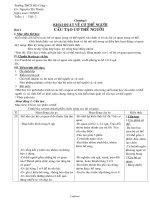 Thiết kế giáo án môn Sinh học 8 - Bài 2: Cấu tạo cơ thể người