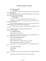 Giáo án Ngữ văn: Đi bộ ngao du – Ruxo