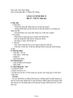 Giáo án môn Sinh học 8 - Tiết 51 - Bài 47: Đại não