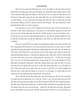 Giáo trình Công nghệ chế biến sữa và các sản phẩm sữa: Phần 1