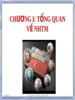 Bài giảng Nghiệp vụ Ngân hàng thương mại: Chương 1 (31tr) - Trường Đại Học Quốc Tế Hồng Bàng