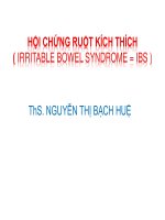 Bài giảng Hội chứng ruột kích thích (Irritable bowel syndrome = IBS ) - Trường Đại học Công nghiệp Thực phẩm Tp. Hồ Chí Minh