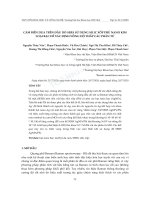 Cảm biến dựa trên đầu dò SERS sử dụng silic xốp phủ nano kim loại bạc để xác định nồng độ thấp các phân tử - Trường Đại học Công nghiệp Thực phẩm Tp. Hồ Chí Minh
