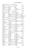 Bài ôn tập môn Tiếng Anh khối 11 - Relative pronoun