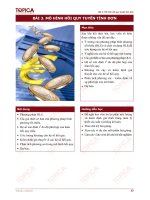 Bài giảng Lý thuyết xác suất và thống kê toán - Bài 3: Mô hình hồi quy tuyến tính đơn - Trường Đại học Công nghiệp Thực phẩm Tp. Hồ Chí Minh