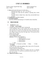 Thiết kế bài dạy Tiếng Anh 11 - Unit 13: Hobbies - Period: Language focus