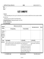 Giáo án giảng dạy bộ môn Vật lý 11 - Trường THPT Mạc Đĩnh Chi - Bài 55: Lực lorent