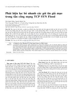 Phát hiện lọc bỏ nhanh các gói tin giả mạo trong tấn công mạng TCP SYN Flood - Trường Đại Học Quốc Tế Hồng Bàng