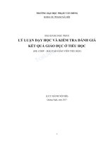 Bài giảng Lý luận dạy học và kiểm tra đánh giá kết quả giáo dục ở tiểu học