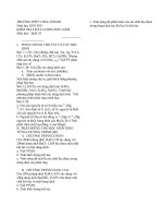 CỔNG TRẠI ĐẸP