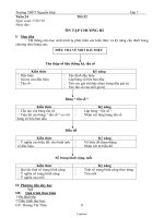 Giáo án Đại số khối 7 - Trường THPT Nguyễn Huệ - Tiết 52: Ôn tập chương III