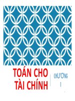 Bài giảng Toán tài chính - Chương 1: Toán cho tài chính - Trường Đại Học Quốc Tế Hồng Bàng