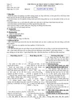 Giáo án Sinh 12 bài 32: Nguồn gốc sự sống