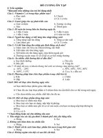 ảnh sóng thần sóng thần dragon knight † thư viện tư liệu giáo dục