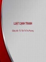 Bài giảng Luật cạnh tranh: Bài 4 - TS. Trần Thị Thu Phương - Trường Đại học Công nghiệp Thực phẩm Tp. Hồ Chí Minh