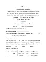 Mẫu Báo cáo thực hiện dự án đầu tư (Mẫu I.13) - Trường Đại học Công nghiệp Thực phẩm Tp. Hồ Chí Minh