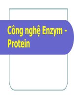 Bài giảng Công nghệ Enzym - Protein - Trường Đại Học Quốc Tế Hồng Bàng