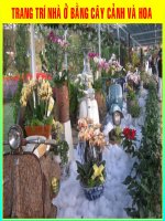 file flash dep tư liệu tham khảo trần chí công thư viện tư liệu giáo dục