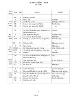 Kế hoạch giảng dạy môn học khối 2 - Tuần 16