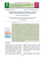 Enhanching kharif groundnut (Arachis hypogaea L.) yield and quality in entisol through potassic fertilizer management - Trường Đại học Công nghiệp Thực phẩm Tp. Hồ Chí Minh