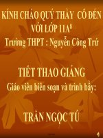 Giáo án giảng dạy bộ môn Vật lý 11 - Bài 22: Dòng điện trong chất khí