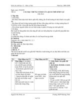 Giáo án Sinh học 12 Cơ bản - Tiết 41: Các đặc trưng cơ bản của quần thể sinh vật (tiếp theo)