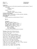 Giáo án phụ đạo môn Tiếng Anh 11 - Tuần 22