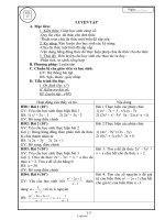 Giáo án Đại số khối 8 - Trần Đức Minh - Tiết 17: Luyện tập