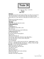 Đề thi Kiểm tra học kì I môn: Tin học 7 thời gian: 45 phút