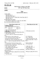 Kế hoạch giảng dạy khối lớp 2 - Tuần 20 - Trường tiểu học Lệ Viễn