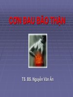 Bài giảng Cơn đau bão thận - TS. BS. Nguyễn Văn Ân - Trường Đại học Công nghiệp Thực phẩm Tp. Hồ Chí Minh