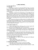 Sáng kiến kinh nghiệm Nâng cao chất lượng sinh hoạt Sao nhi đồng tại liên đội TH&THCS Ba Sao