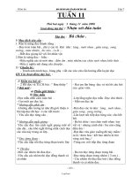 Giáo án các môn học khối 2, học kì I - Tuần 11