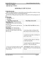 Giáo án Sinh hoạt lớp 6 - Trường THCS Chu Văn An