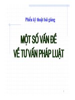 Bài giảng Một số vấn đề về tư vấn pháp luật – Khái quát chung về tư vấn pháp luật - Trường Đại Học Quốc Tế Hồng Bàng