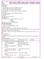 Thiết kế giáo án môn Sinh học 8 - Tiết 48: Trụ não, tiểu não, não trung gian