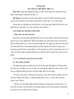 Giáo trình Công nghệ chế biến thịt cá: Phần 2