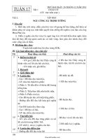 Giáo án Tổng hợp môn học lớp 1 - Tuần lễ 17 năm 2011