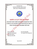 GIẢI PHÁP HOÀN THIỆN HOẠT ĐỘNG MARKETING TRỰC TUYẾN TẠI THỊ TRƯỜNG THÀNH PHỐ HUẾ CỦA CÔNG TY TNHH THƯƠNG MẠI CARLSBERG VIỆT NAM