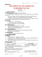 Đề kiểm tra học kì I - Năm học: 2014 - 2015 môn: Tiếng Anh – lớp 7 thời gian làm bài: 35 phút