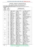 Giáo án ôn thi THPT quốc gia môn Tiếng Anh năm 2015 - 2016 - Chuyên đề 1 đến chuyên đề 3