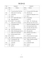Giáo án Lớp ghép 4 & 5 - Tuần 12