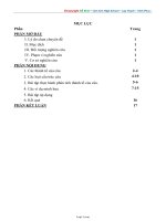 Sáng kiến kinh nghiệm môn học Tiếng Anh 11